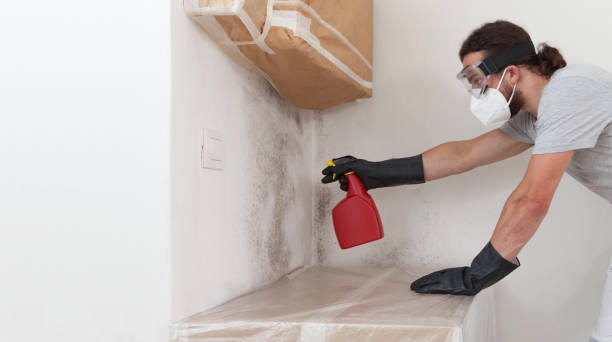 Professional Attic Mold Remediation technician working in Sawyer, MI